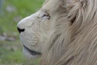 Cjp_2011_08_02_165526 (2).jpg